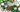 GreenLusts Is Changing the Game in Natural Self-Care