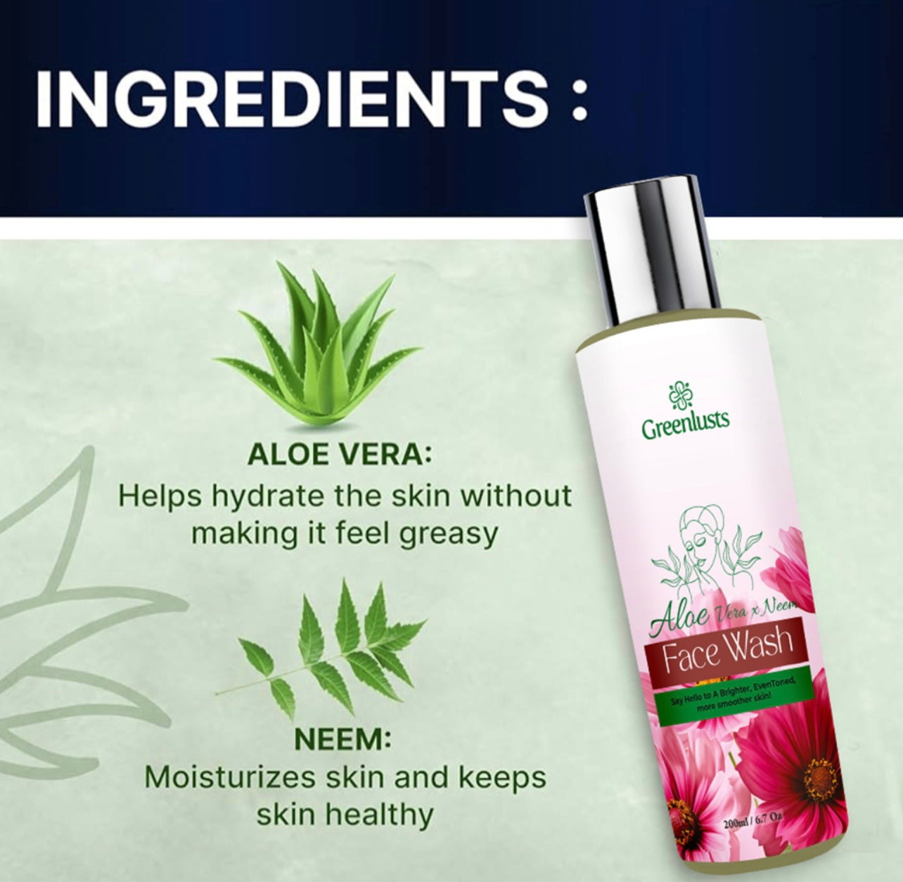 Natural Face Wash for Acne Prone Skin Aloe Vera and Neem 6.7 Oz
